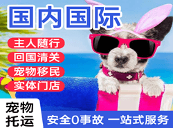 赤峰玉龙国际宠物托运 【国